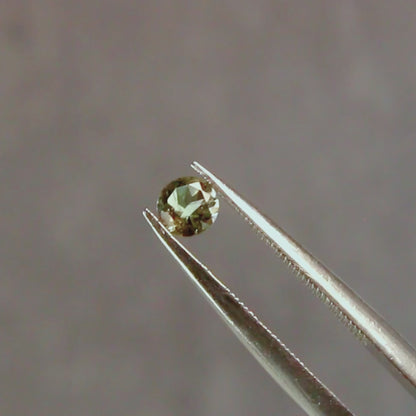 バイカラートルマリン 0.22ct ラウンドカット 3.9mm×3.9mm×2.4mm【MJ3100】